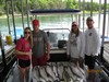 (06/23/2018) - Nice Striped Bass